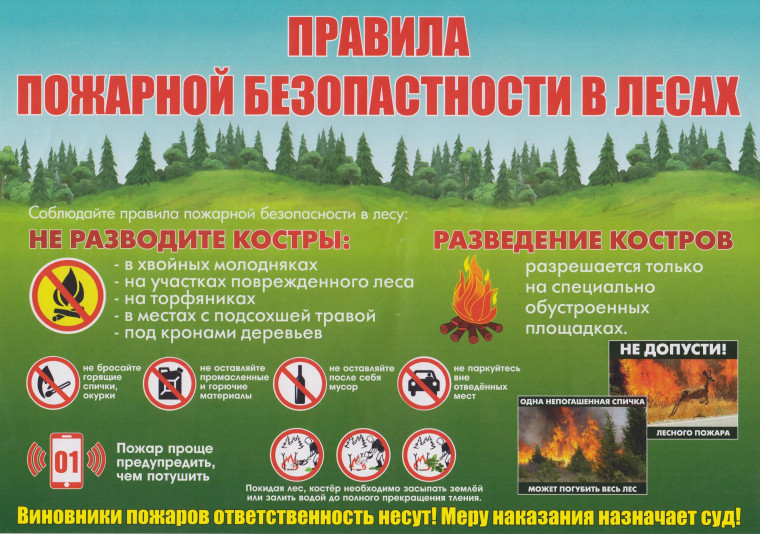 ОГКОУ ШИ 92 Безопасность в лесу.